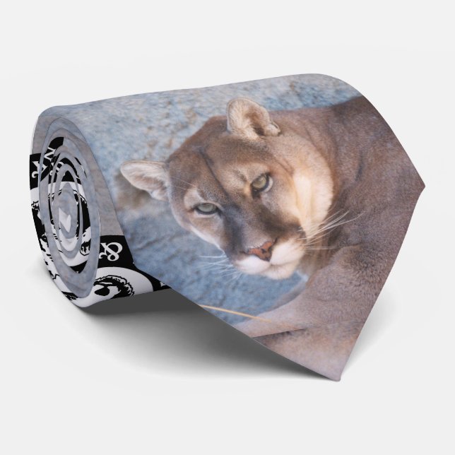 Cougar Tie (Rolled)