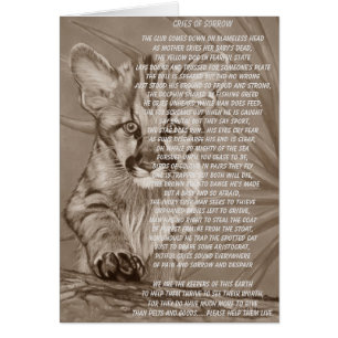 cougar wildlife picture stop animal suffering poem