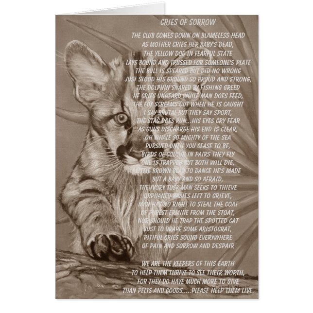 cougar wildlife picture stop animal suffering poem (Front)