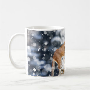 Cougar Winter Mountains Wildlife Portrait Coffee Mug