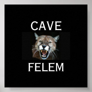 COUGARBeware  Of The Cat - In Latin.. - Customised Poster