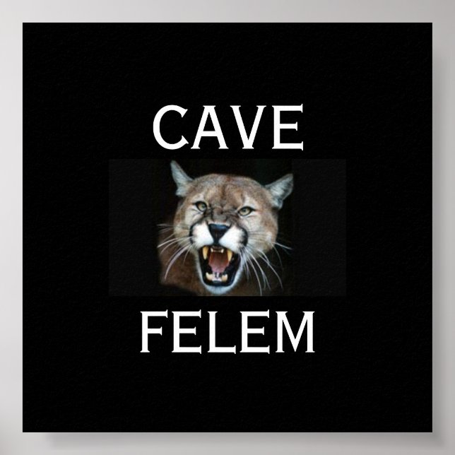 COUGARBeware  Of The Cat - In Latin.. - Customised Poster (Front)