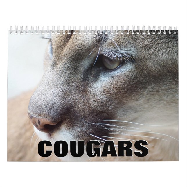 Cougars Wall Calendar (Cover)