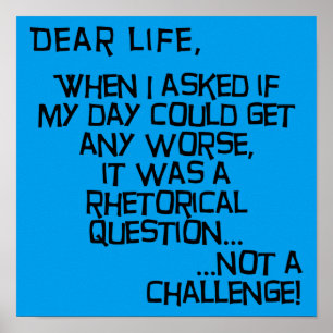 Could It Get Any Worse Funny Poster Sign