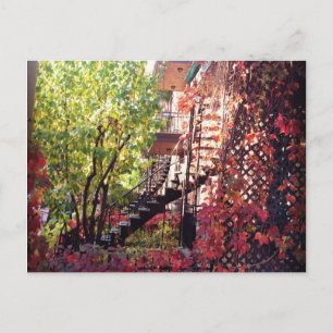 couleur postcard