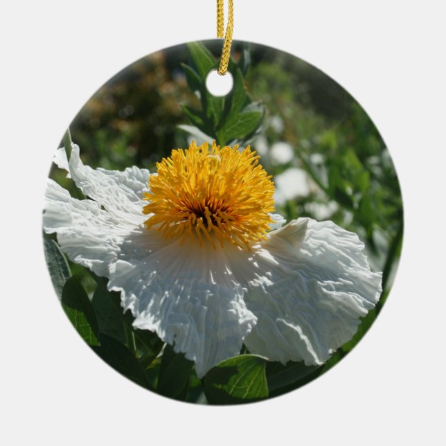 Coulter's Matilija Poppy Ceramic Tree Decoration (Front)