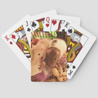 Council playing cards