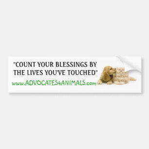 Count Your Blessings- BUMPER STICKER