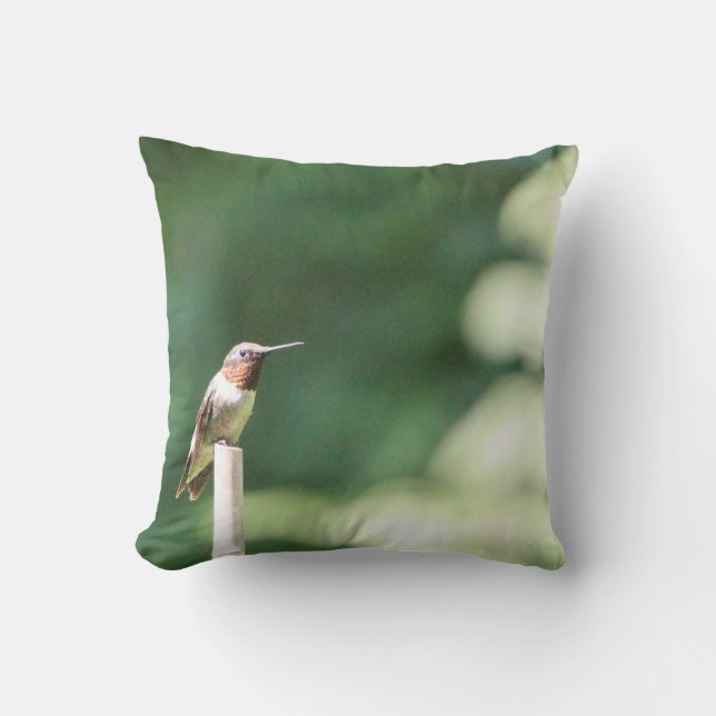 Count your blessings pillow (Front)
