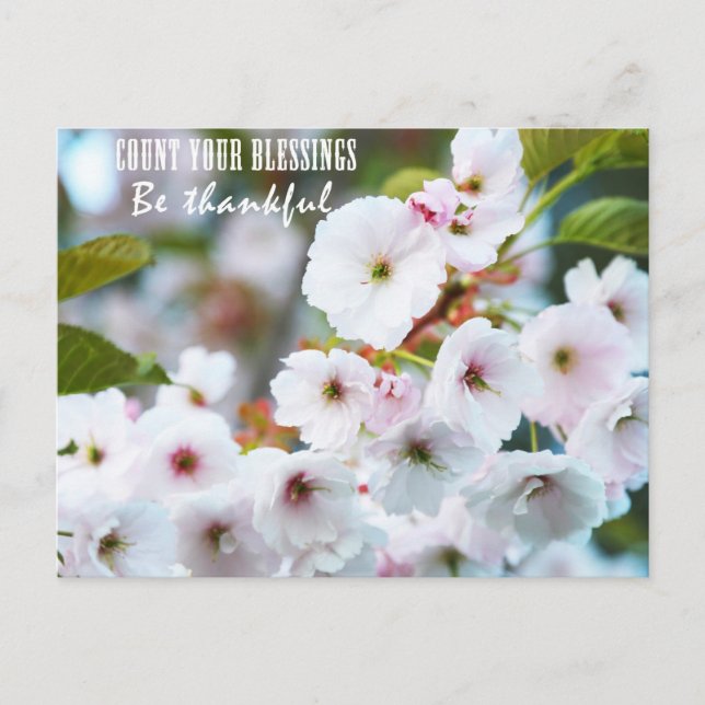 Count your blessings postcard (Front)