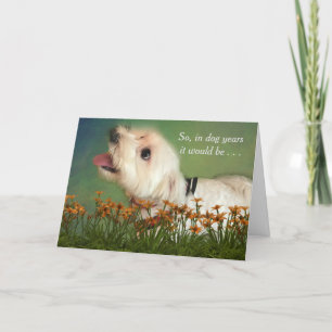 Counting in Dog Years Birthday Card