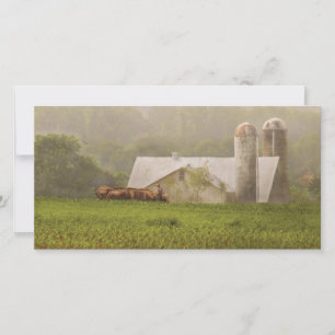 Country - Amish Farming