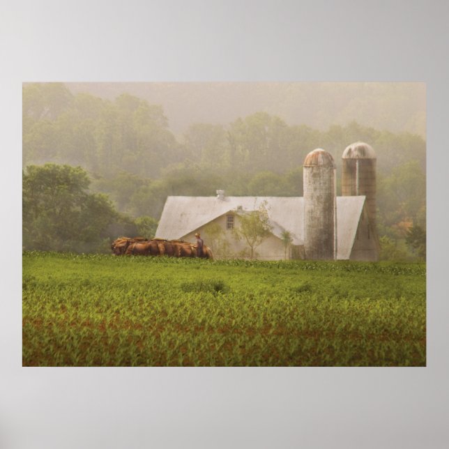 Country - Amish Farming Poster (Front)