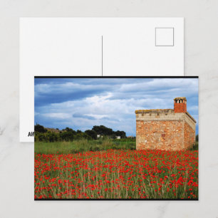 Country Barn in Floral Poppy Field Postcard