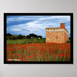 Country Barn in Floral Poppy Field Poster
