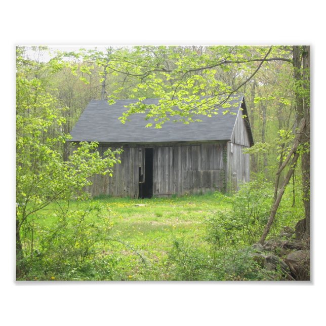 Country Barn In Spring Photo Print (Front)