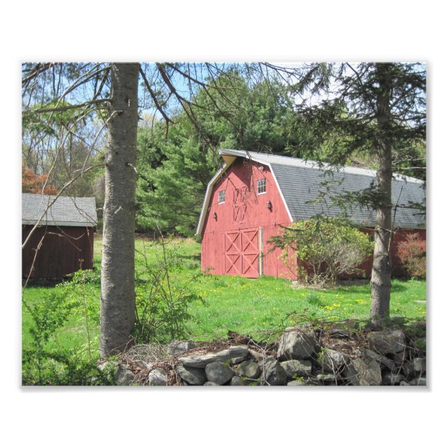 Country Barn Photo Print (Front)