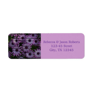 country barn wood purple daisy wedding