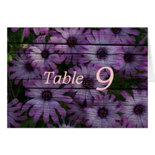 country barn wood purple daisy wedding