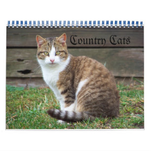 Country Cats Calendar