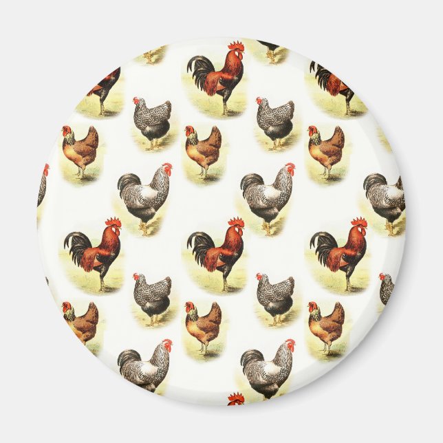 Country Chicken Pattern Magnet (Front)