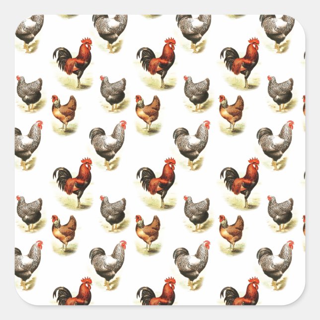 Country Chicken Pattern Square Sticker (Front)