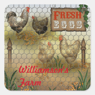 Country Chickens Farm Fresh Eggs Name Square Sticker