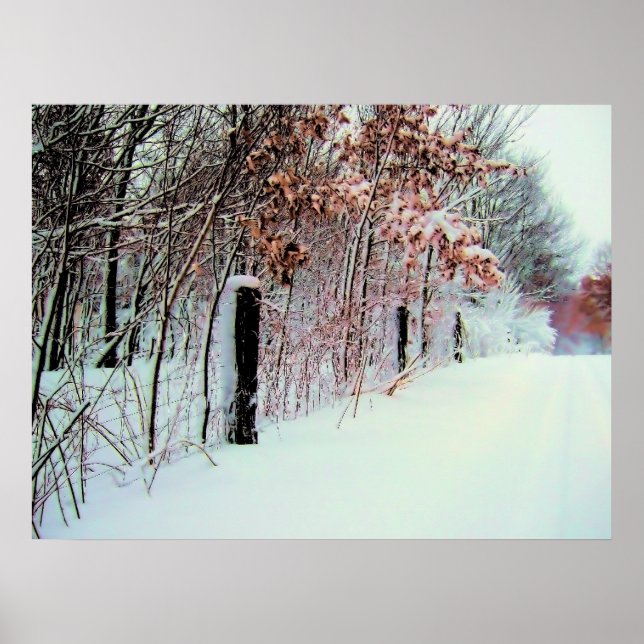 Country Cold Poster (Front)