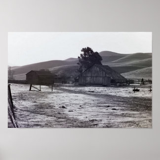 Country Collection - A Country Morning Poster