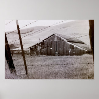 Country Collection - A new View Poster