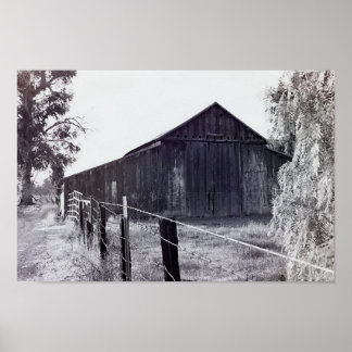 Country Collection - Standing Alone Poster