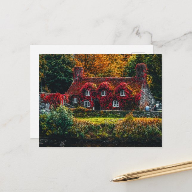 Country Cottage with Red Vines Covering Home Postcard (Front/Back In Situ)