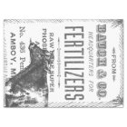 Country Cow Decoupage Tissue