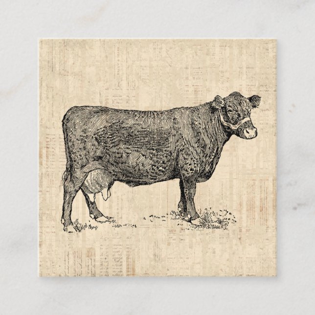 Country Cow Illustrated Art Enclosure Card (Front)