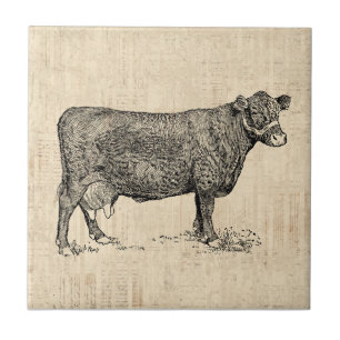 Country Cow Illustrated Art Tile