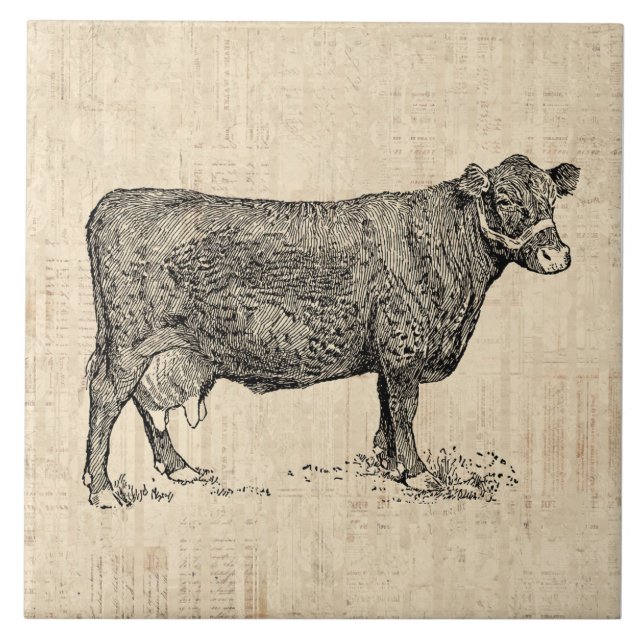 Country Cow Illustrated Art Tile (Front)