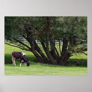 Country Cow Poster