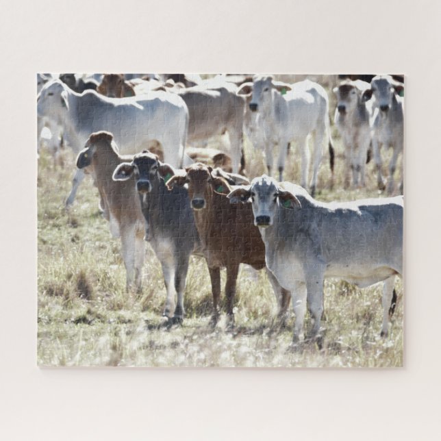 Country Cows Jigsaw Puzzle (Horizontal)