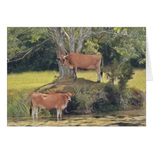 Country Cows Staying Cool