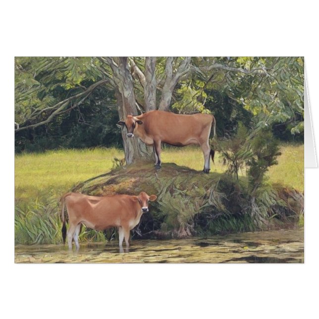 Country Cows Staying Cool (Front Horizontal)