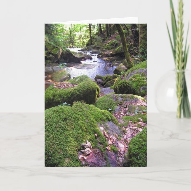 Country Creek Card (Front)