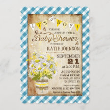 Country Daisies Gingham Check Boy Baby Shower