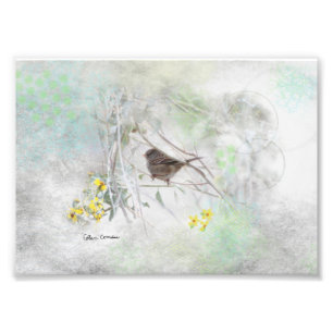 Country Dreams Photo Print