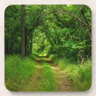 Country Driveway Coaster