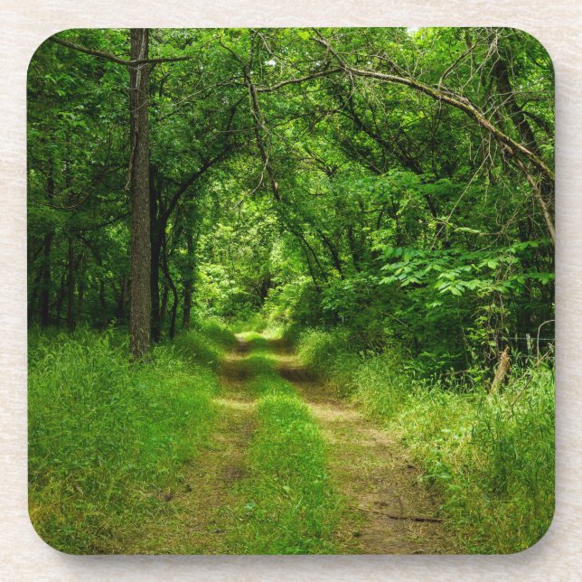 Country Driveway Coaster (Front)