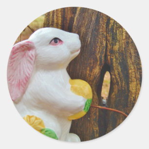 Country Easter Bunny Classic Round Sticker