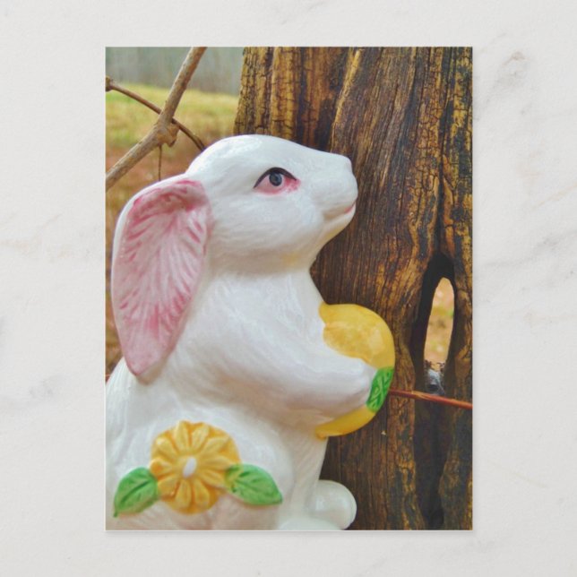 Country Easter Bunny Holiday Postcard (Front)