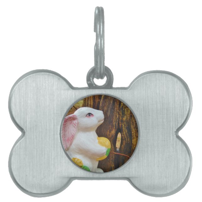 Country Easter Bunny Pet Name Tag (Front)