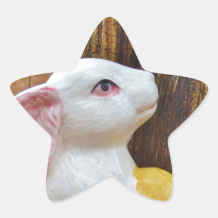 Country Easter Bunny Star Sticker