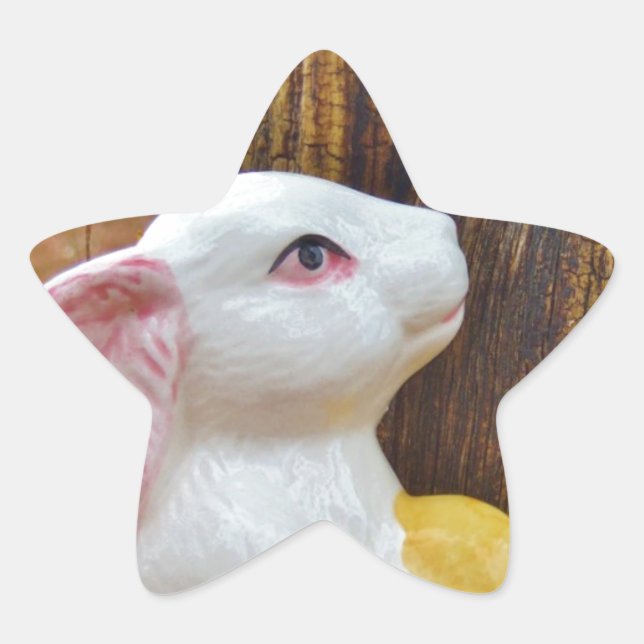 Country Easter Bunny Star Sticker (Front)